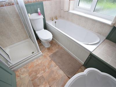 Picture 11